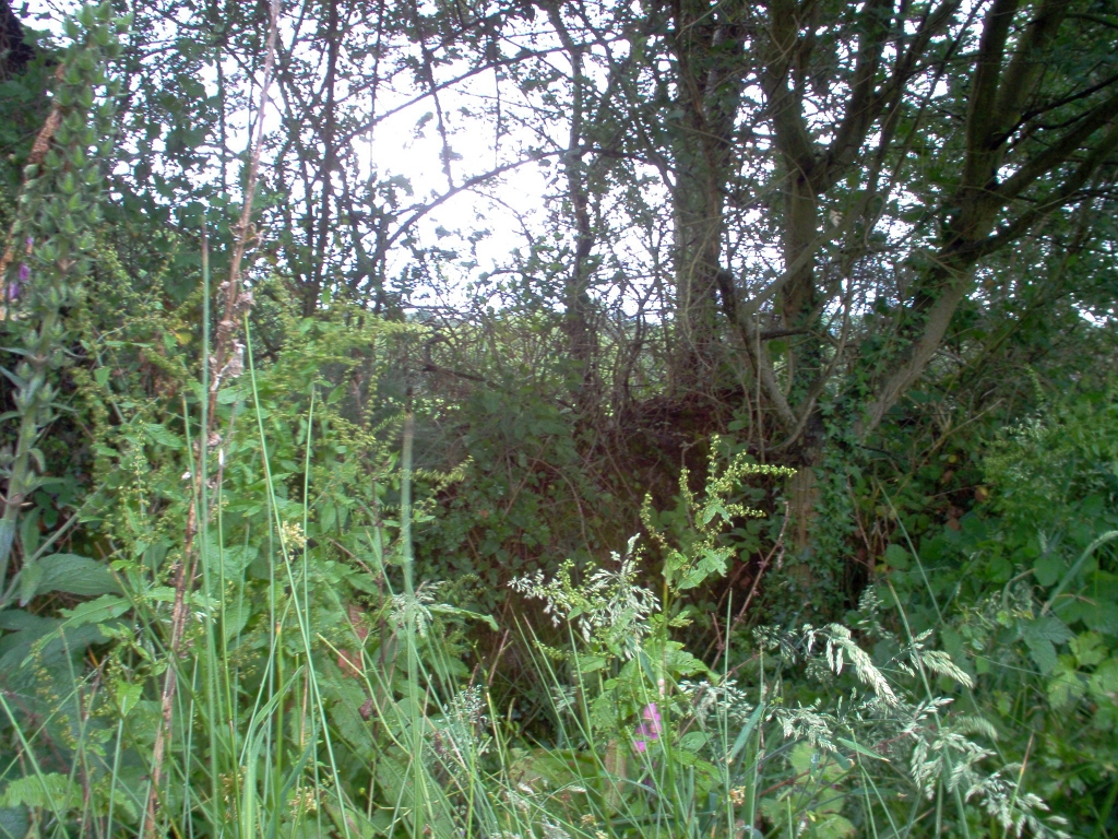 20110000 LA PAVÉE Pont-Farcy 29.jpg - IM000289.JPG
